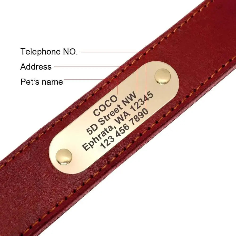 Dog Leather Collar w/ Gold Name Tag - Engrave Your Pet's ID by GROOMY
