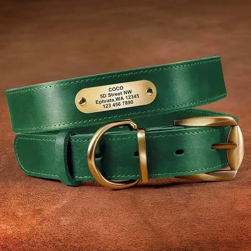 Dog Leather Collar w/ Gold Name Tag - Engrave Your Pet's ID by GROOMY