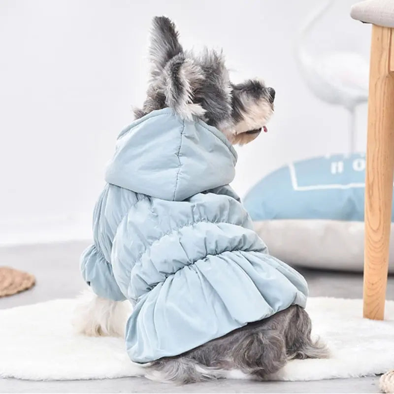 Dog Coat & Jacket in Dress Shape - Dog & Cat Apparel by GROOMY