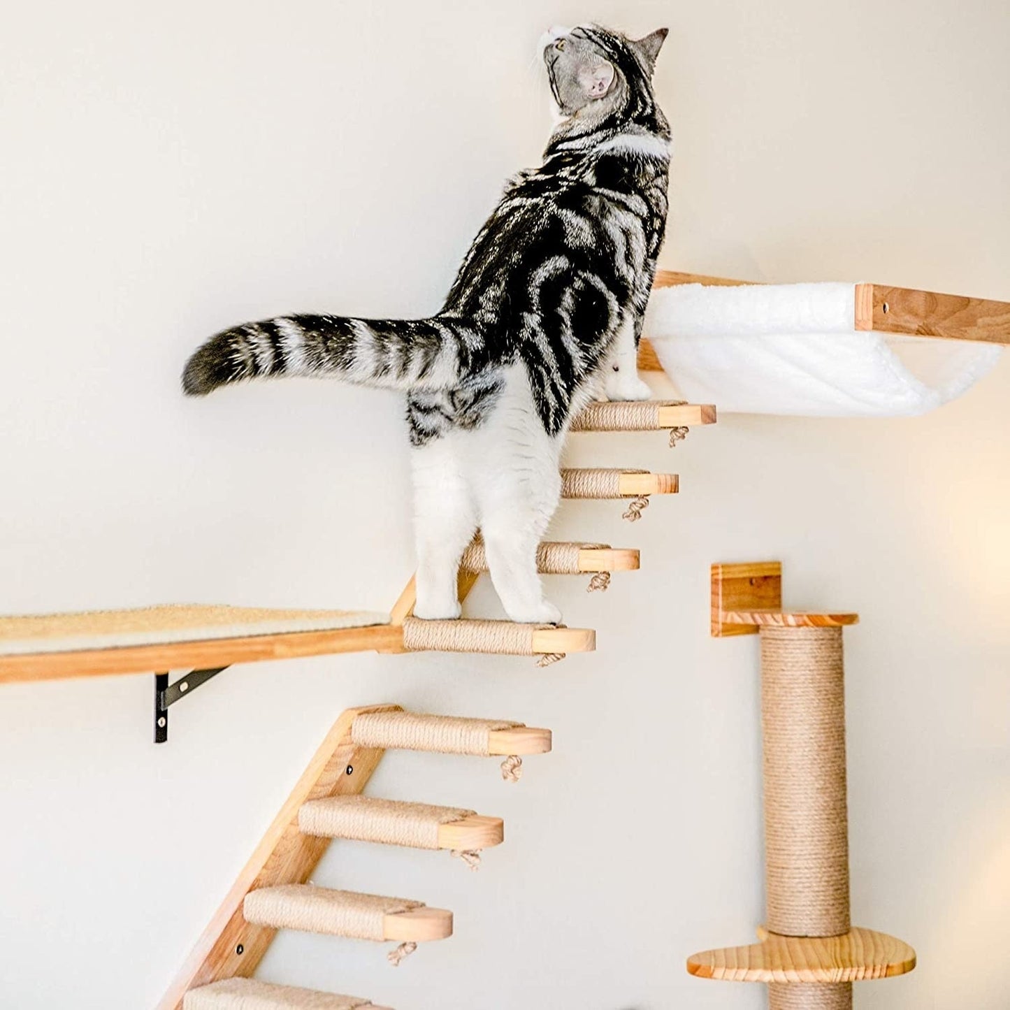 Cat Wall Shelves - Style B by GROOMY