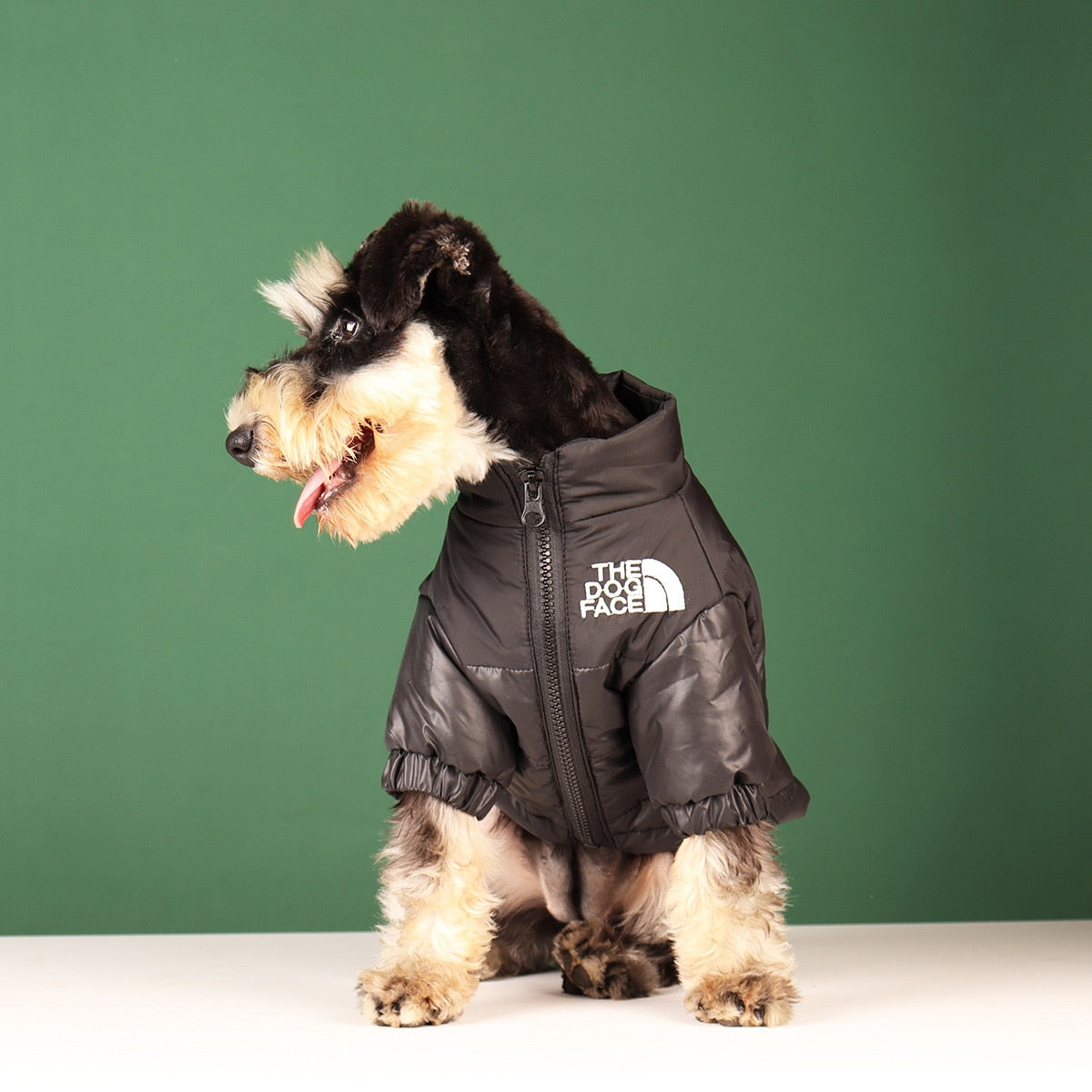 The Dog Face Winter Jacket - Dog & Cat Apparel by GROOMY
