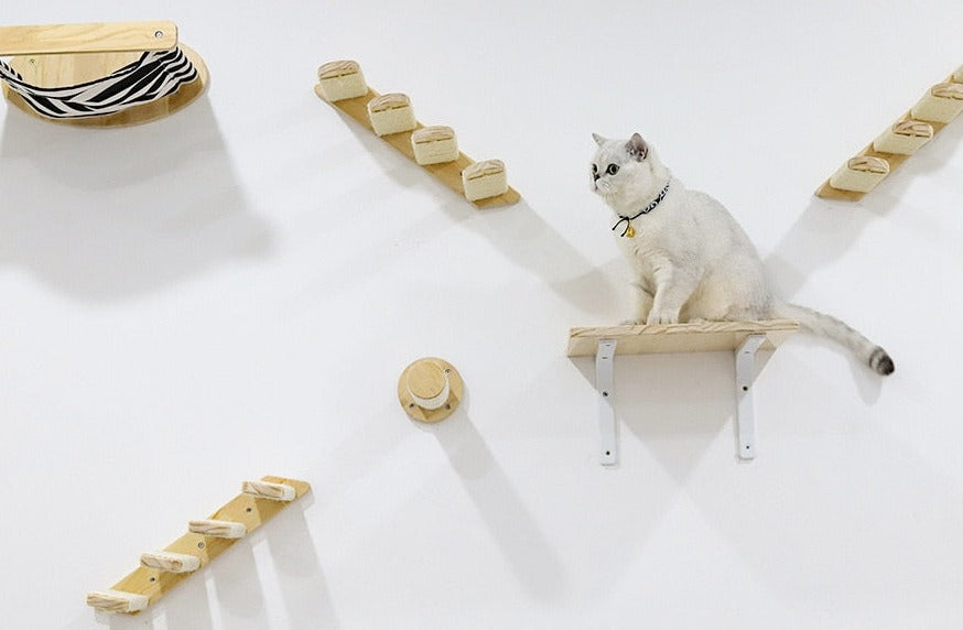 Cat Wall Shelves - Style A by GROOMY