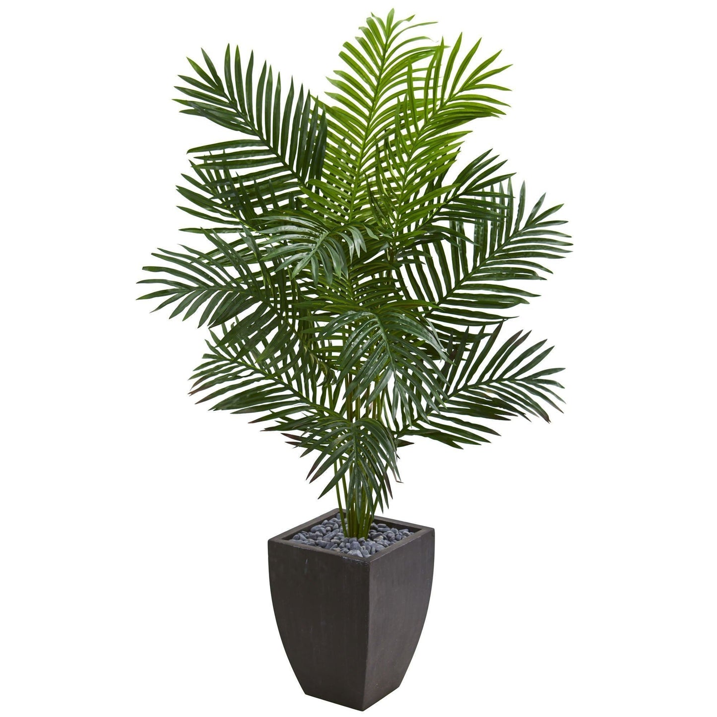 5.5’ Paradise Artificial Palm Tree in Black Planter by Nearly Natural